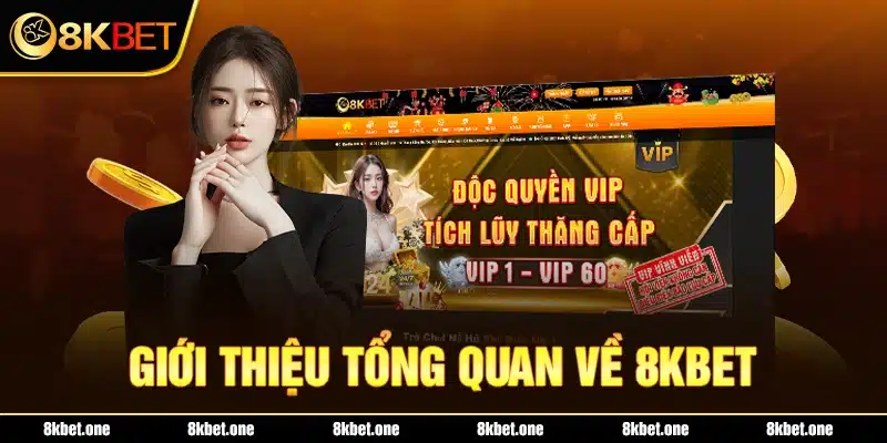 Giới thiệu tổng quan về sân chơi hàng đầu châu Á - 8Kbet